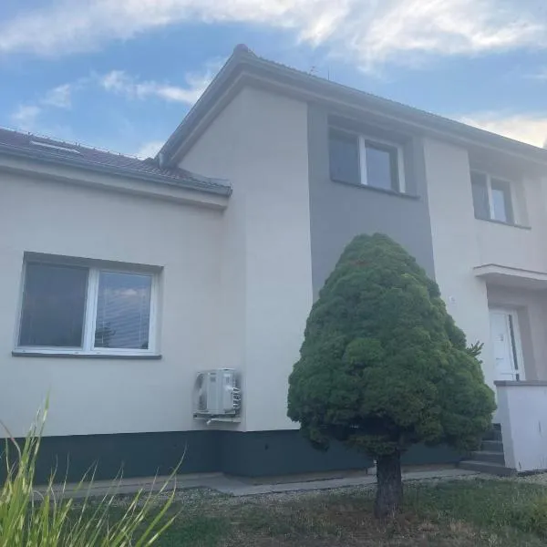 Ubytování U Truhlářů Šaldorf, hotel in Nový Šaldorf