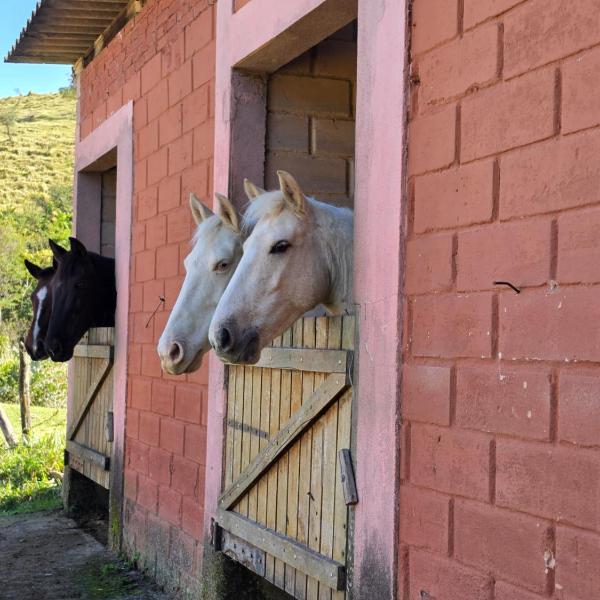 Big Valley Hotel Fazenda - Foto 4