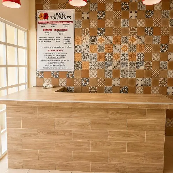 Hotel Tulipanes, hotel in Villahermosa
