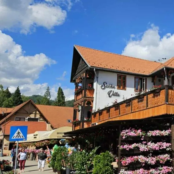 VILA SZOKE SOVATA, hôtel à Sovata