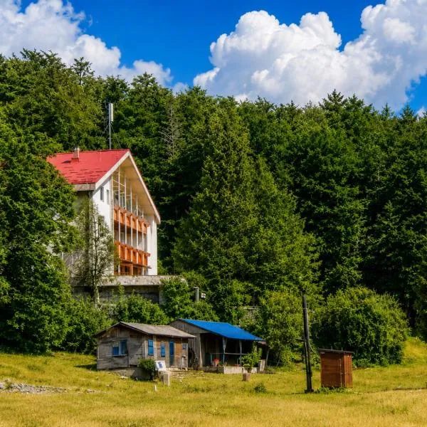 Great Mountain B&B Platak, hotelli kohteessa Platak