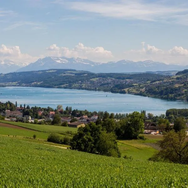 Vitabella Rügel, hotel di Seengen