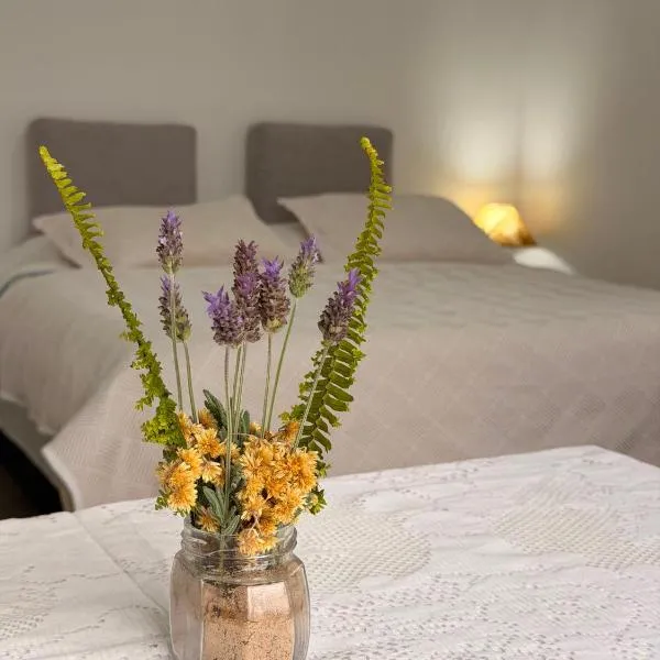 Apartamento El Arrayán, hotel in Tacuarembó