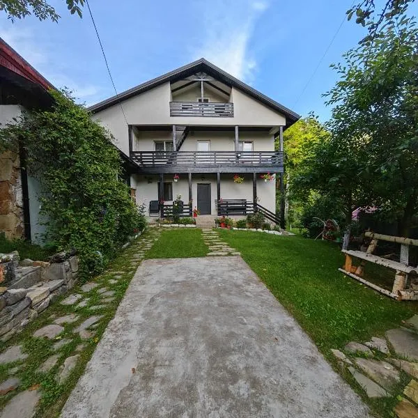 Casa Piatra Corbului，Gura Teghii的飯店