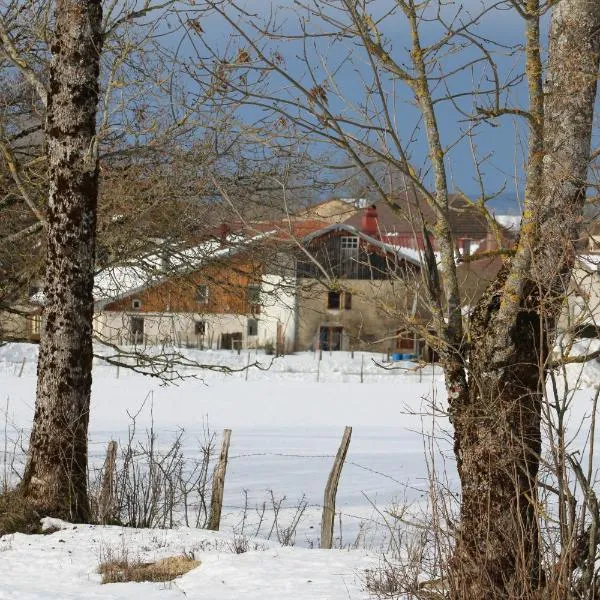 Gîte de la sauge, hotel v mestu Mignovillard