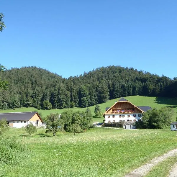 Russbachbauer, hotel v St. Wolfgangu
