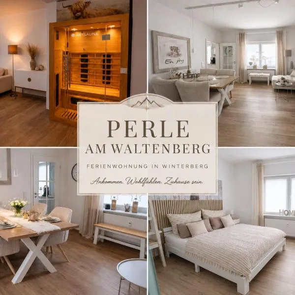 Perle am Waltenberg, 85 qm Ferienwohnung, Sauna, zwei Wohnungen in einer!, hotell sihtkohas Winterberg
