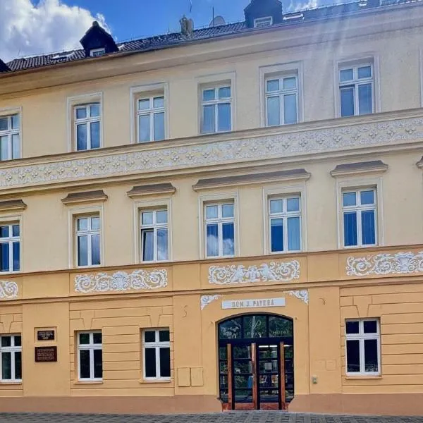 Hotel PAYER, hotel i Teplice
