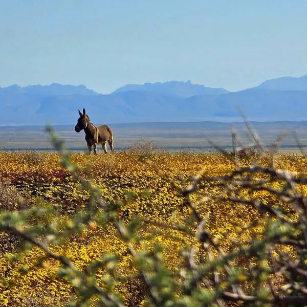 Skoorsteenberg Farm Camping & Accommodation, hotel in Tankwa Karoo