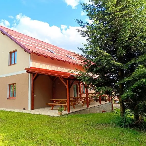 Ubytování Krucemburk, hotel u gradu Křížová