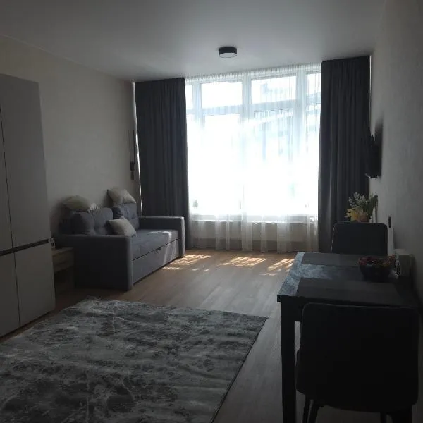 오데사에 위치한 호텔 Sea View Apartments Arcadia