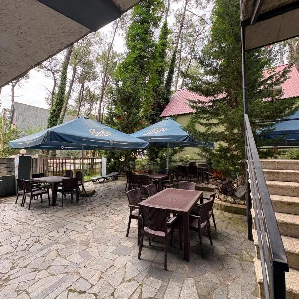 hotel shomari, khách sạn ở Grigoleti