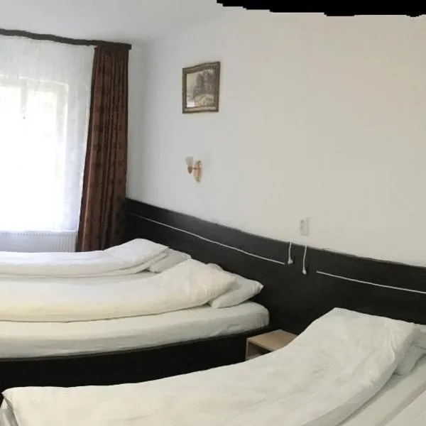 Iony Apartament、シビウのホテル