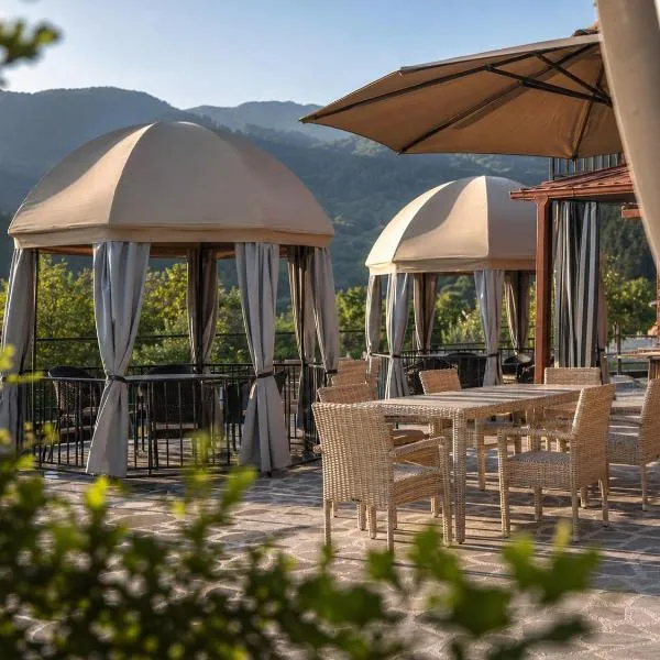 Pesvebi Design Hotel and Cellar, Hotel in Bordschomi