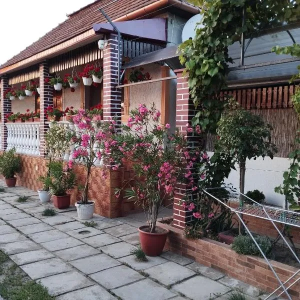 Ніколетта Апартамент, hotel i Velyka Bihanʼ