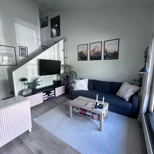 Small apartment in the middle of Gol city center – hotel w mieście Gol