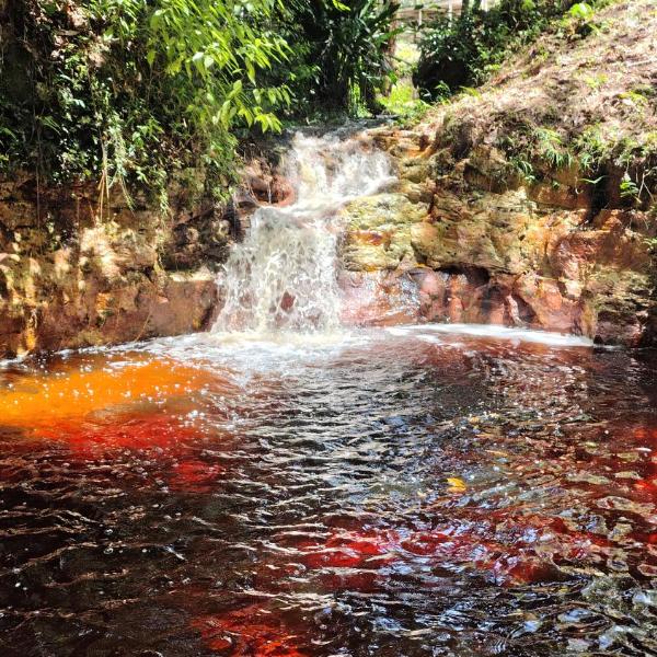 Jaracuí - Experiência Amazônica