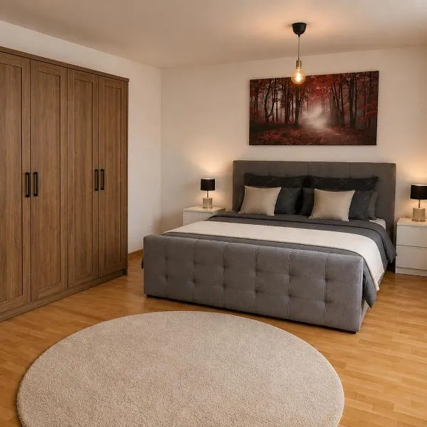 Comfortable Two Room Apartment with Balcony, hôtel à Dresde