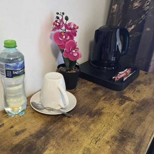 Noclegi Bezpłatny Dowóz AirNest24 Lotnisko Katowice-Pyrzowice, hotell sihtkohas Sączów