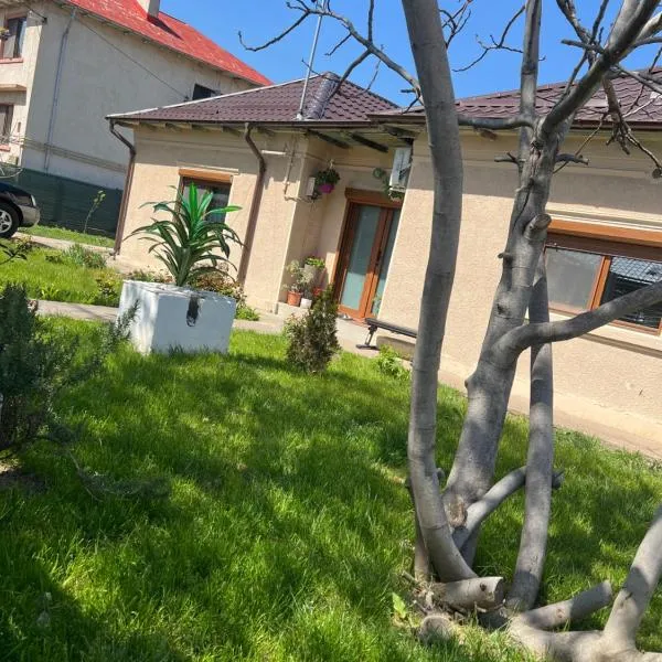Casa Rodica, ξενοδοχείο σε Mangalia