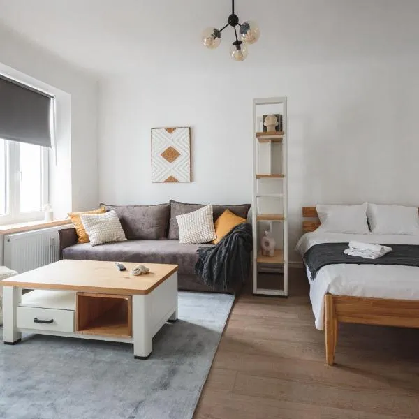 Comfy & Spacious Riga Center Studio Apartment，位于里加的酒店