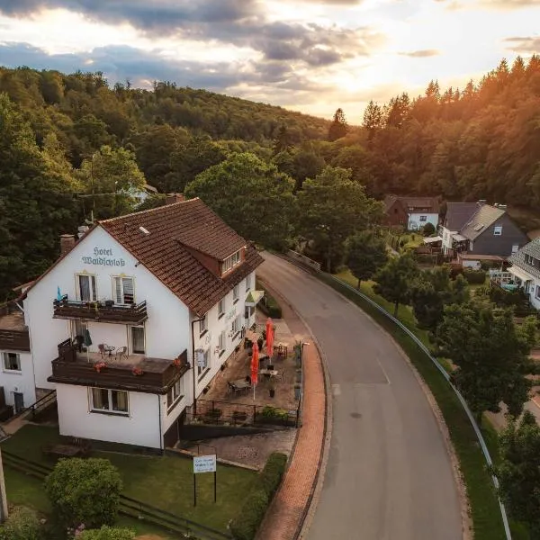 Pension Waldschloß, hotel u gradu Holcminden