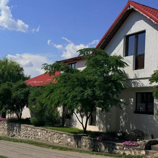 Casa de Vacanta Potoc - poarta ta spre Cheile Nerei, hotelli kohteessa Potoc