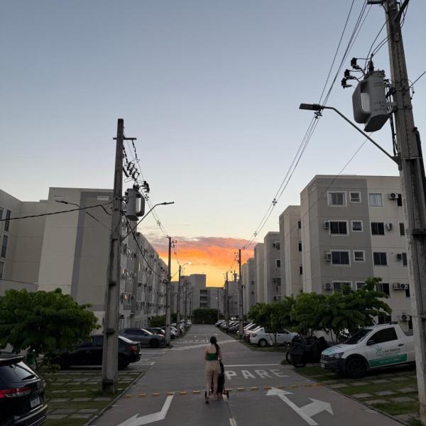 Vista das copaibas