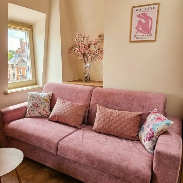 Rosette Rose AC Progres, hotel a Toruń