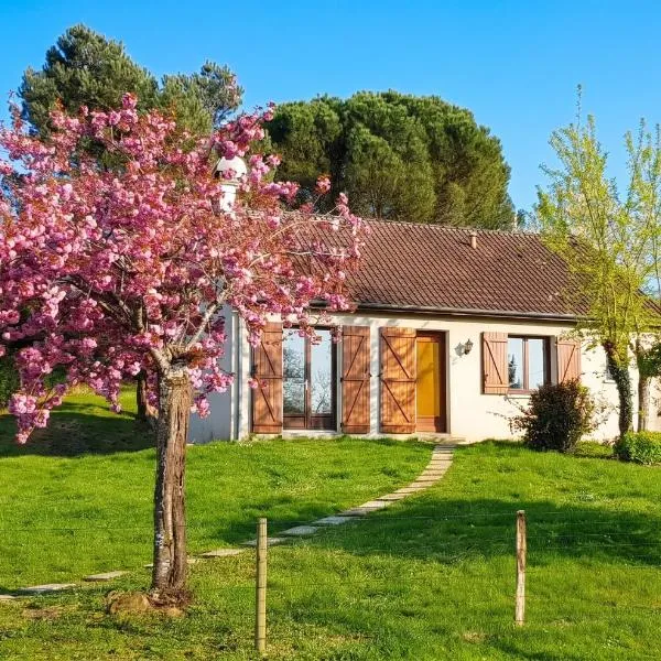 Maison charmante à Seigy, vue sur jardin, accepte animaux., Hotel in Seigy