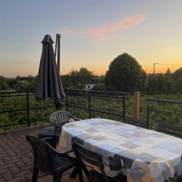 Chez voisine - entre la Loire et le vignoble, hotel in Pouilly-sur-Loire