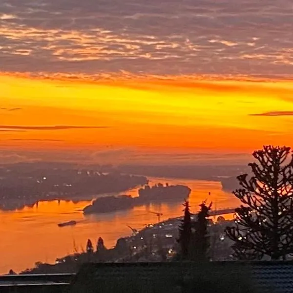 Sunrise Loft, hotell i Bingen am Rhein