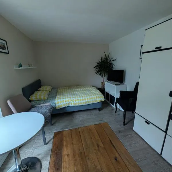 Airport Private Apartment, Advance Registration, No Reception, Self Check-in, Calm Environment, Non-Smoking Guests, hotel in Kněžívka