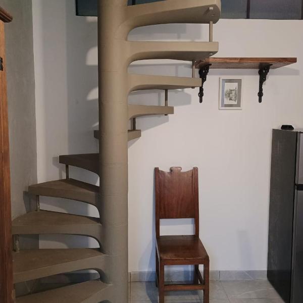 Casinha Tiê - Foto 4