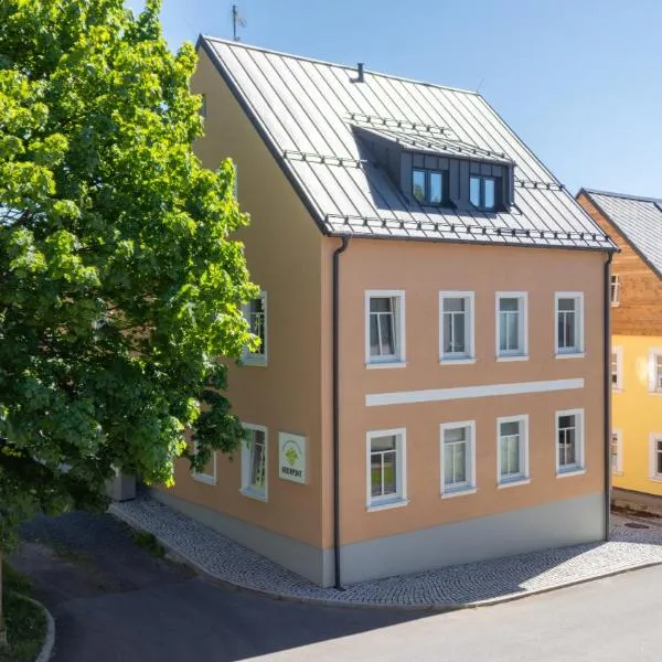 KRUSHPOINT Krušnohorský hotel، فندق في هورني بلاتنا