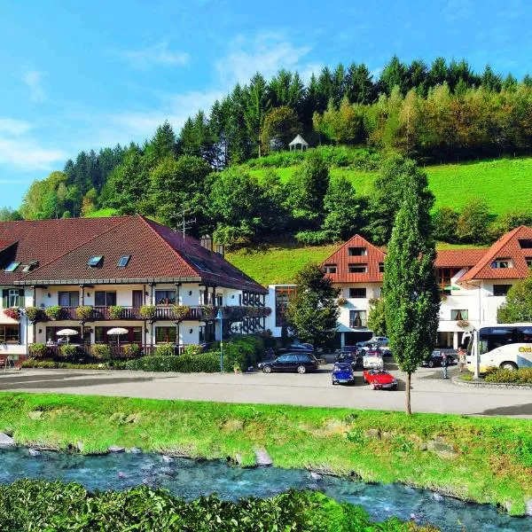 Hotel 3 Könige, hotel v destinaci Oberwolfach