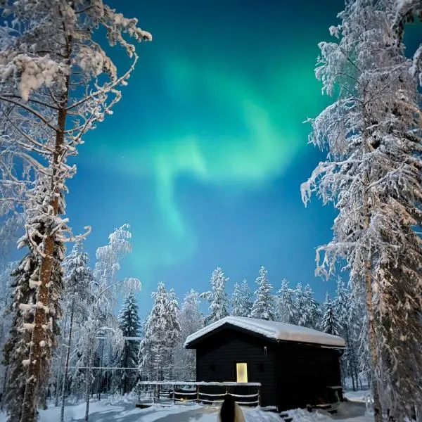 Napapiirin Järvilomat โรงแรมในโรวานิเอมิ