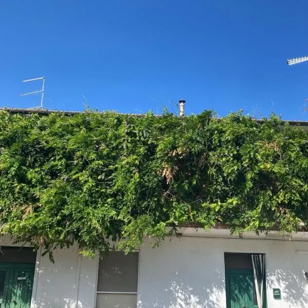 La casa di Fedio e Renza in Maremma, a 10min dal mare, hotel en Castiglione della Pescaia
