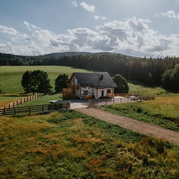 Serce Beskidu Krynica Zdrój, отель в городе Крыница-Здруй