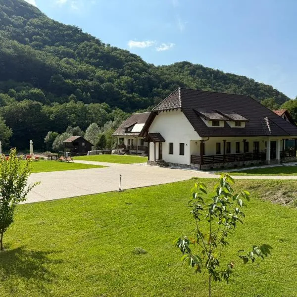 Pensiunea Agroturistica Regia, Hotel in Hunedoara