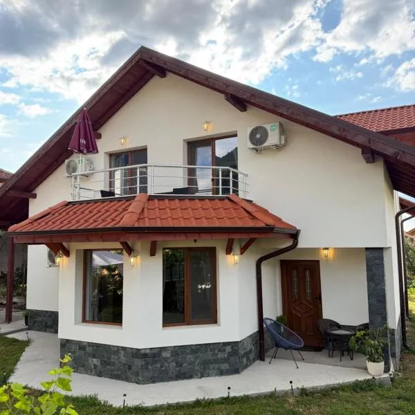 Bianca Guest House Sapareva banya、サパレヴァ・バニャのホテル