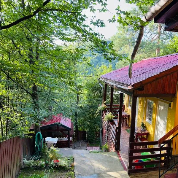 Hegyi-lak vendégház, hotel in Praid
