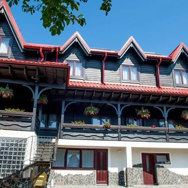 Pensiune Borsa, hotel v destinaci Borşa