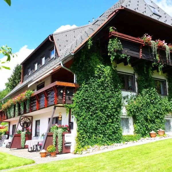 Haus Schäfer, hotel in Menzenschwand