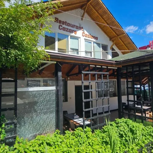 Pensiunea Coziana, hotel em Caciulata