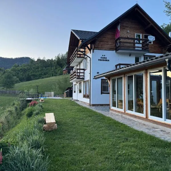 Casa Teodora, Hotel in Albac