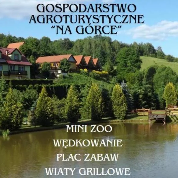 Gospodarstwo Agroturystyczne na Górce, hotel in Myczkowce