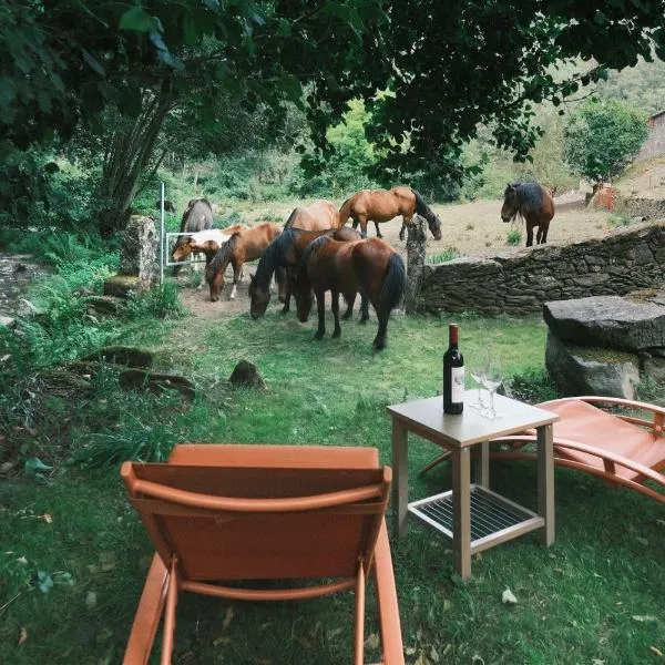 Casa Grande de Covas-Rural Boutique & Agroturismo en la Ribeira Sacra, hotel u gradu 'Taboada'