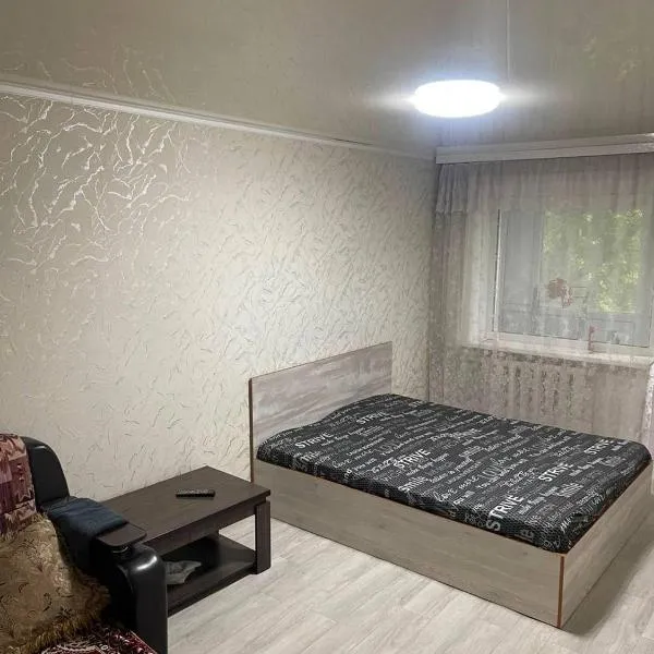 1 комнатная квартира в 3 минутах пешком от вокзала WiFIi город Петропавловск, hotel di Petropavlovsk
