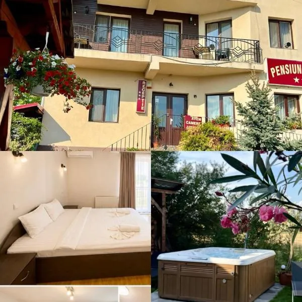 Pensiunea Tudor, hotel in Baile Felix